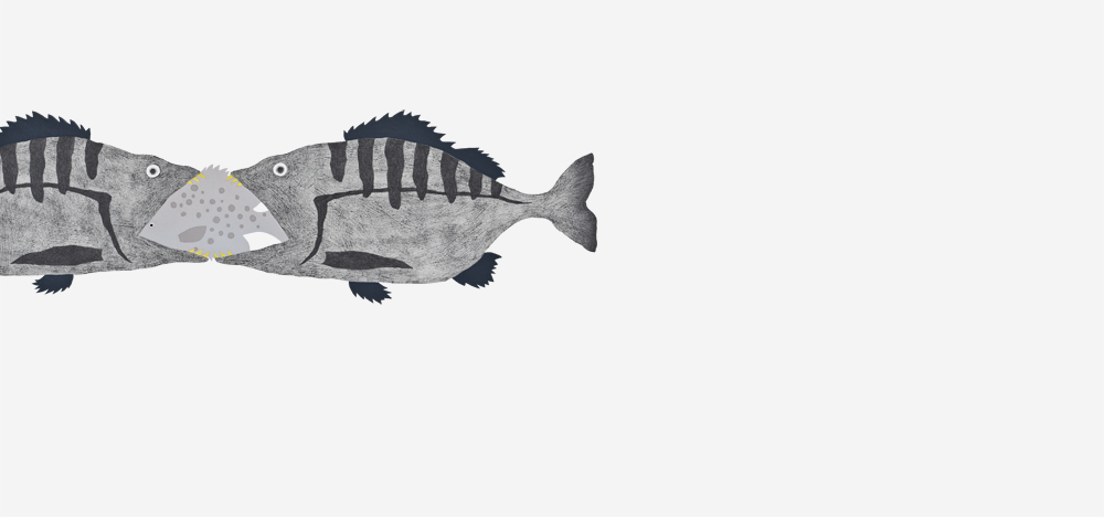 물고기 4